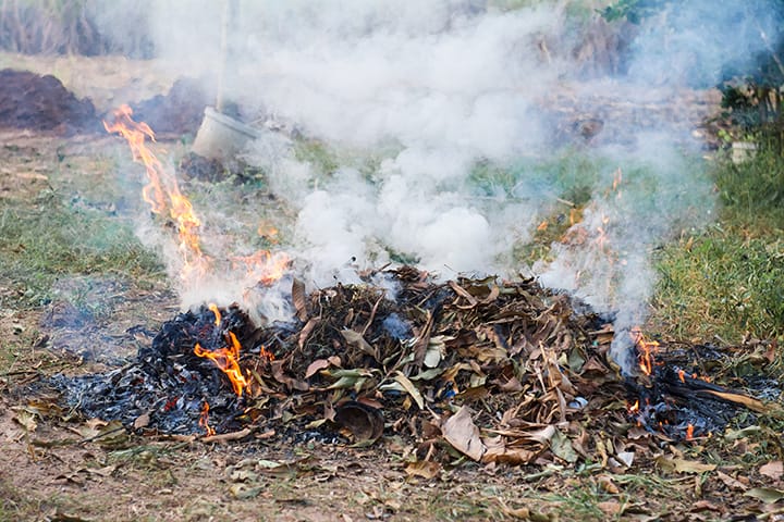 Burning leaves in Warrenton, Fauquier, Virginia - image of a pile of leaves burning